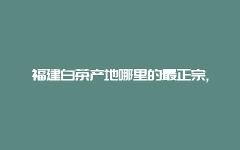 福建白茶产地哪里的最正宗,福建产白茶哪个地方最好的?_http://www.chayejidi.com_茶叶知识_第1张