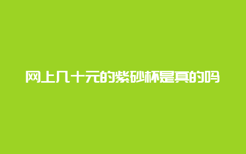 网上几十元的紫砂杯是真的吗_http://www.chayejidi.com_茶叶知识_第1张