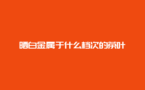 晒白金属于什么档次的茶叶_http://www.chayejidi.com_茶叶知识_第1张