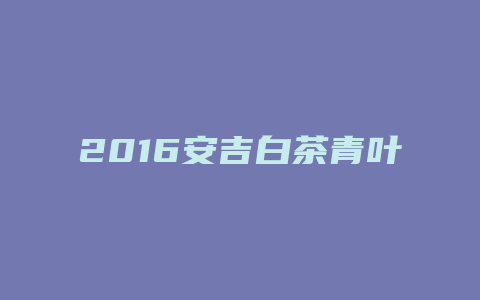 2024安吉白茶青叶价格多少_http://www.chayejidi.com_茶叶价格_第1张