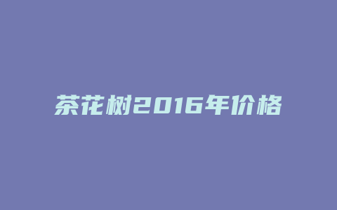 茶花树2024年价格表_http://www.chayejidi.com_茶叶价格_第1张