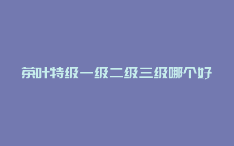 茶叶特级一级二级三级哪个好，特级茶叶属于什么档次​_http://www.chayejidi.com_茶叶知识_第1张