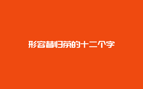 形容昔归茶的十二个字_http://www.chayejidi.com_茶叶知识_第1张