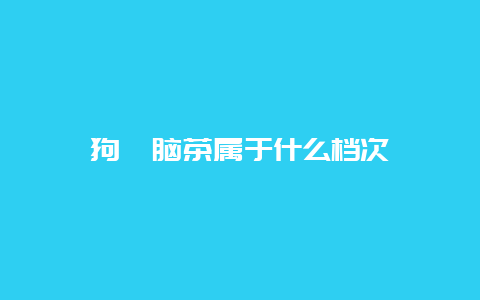 狗牯脑茶属于什么档次_http://www.chayejidi.com_茶叶知识_第1张