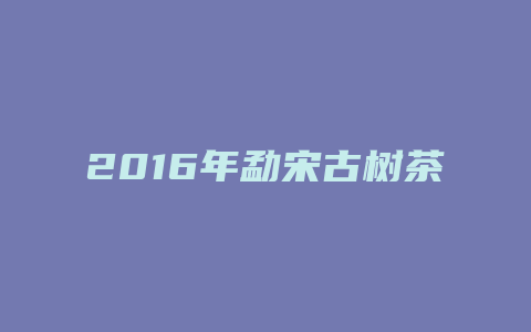 2024年勐宋古树茶价格多少_http://www.chayejidi.com_茶叶价格_第1张