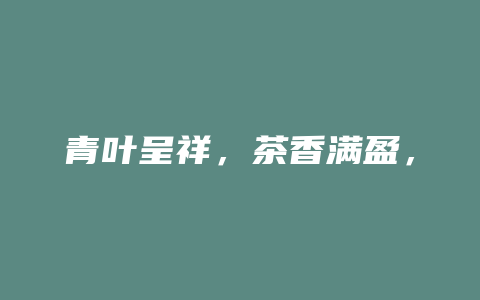 青叶呈祥，茶香满盈，古树绿茶，解忧养生，你值得拥有！_http://www.chayejidi.com_茶叶功效_第1张