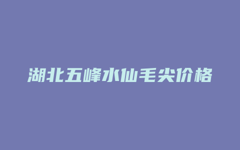 湖北五峰水仙毛尖价格多少_http://www.chayejidi.com_茶叶价格_第1张