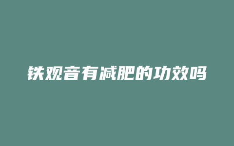 铁观音有减肥的功效吗_http://www.chayejidi.com_茶叶功效_第1张