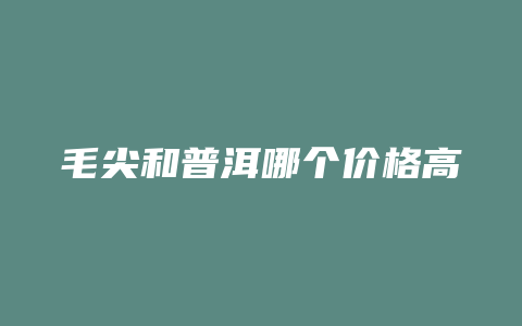 毛尖和普洱哪个价格高_http://www.chayejidi.com_茶叶价格_第1张