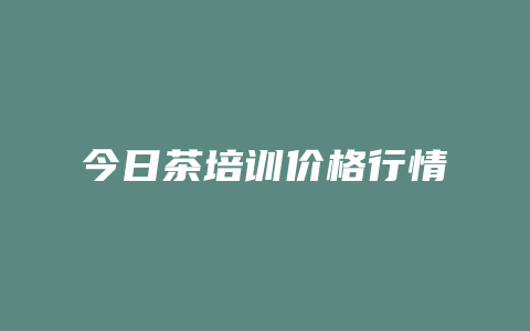 今日茶培训价格多少行情_http://www.chayejidi.com_茶叶价格_第1张