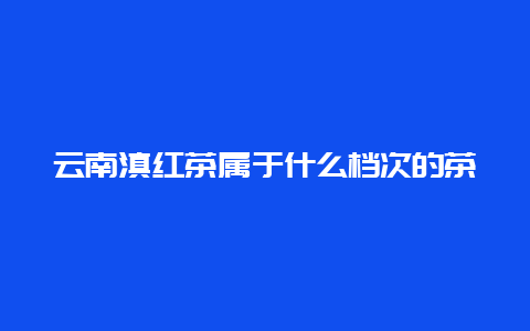 云南滇红茶属于什么档次的茶_http://www.chayejidi.com_茶叶知识_第1张