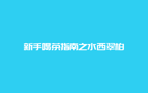 新手喝茶指南之水西翠柏_http://www.chayejidi.com_绿茶知识_第1张