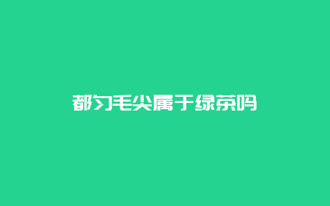 都匀毛尖属于绿茶吗_http://www.chayejidi.com_绿茶知识_第1张