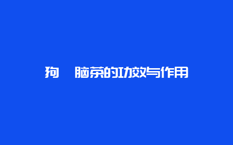 狗牯脑茶的功效与作用_http://www.chayejidi.com_绿茶知识_第1张