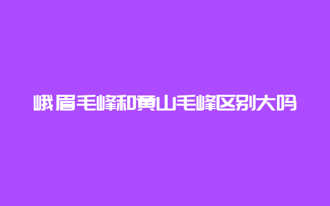 峨眉毛峰和黄山毛峰区别大吗_http://www.chayejidi.com_绿茶知识_第1张