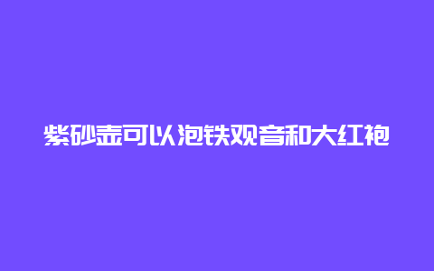 紫砂壶可以泡铁观音和大红袍吗_http://www.chayejidi.com_乌龙茶知识_第1张