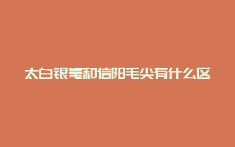 太白银毫和信阳毛尖有什么区别_http://www.chayejidi.com_绿茶知识_第1张