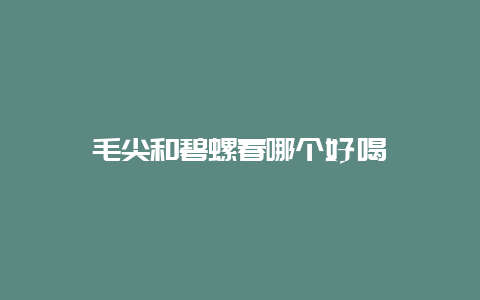 毛尖和碧螺春哪个好喝_http://www.chayejidi.com_绿茶知识_第1张