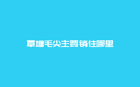 覃塘毛尖主要销往哪里_http://www.chayejidi.com_绿茶知识_第1张