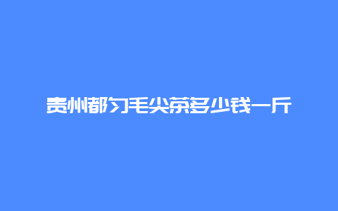 贵州都匀毛尖茶多少钱一斤_http://www.chayejidi.com_绿茶知识_第1张