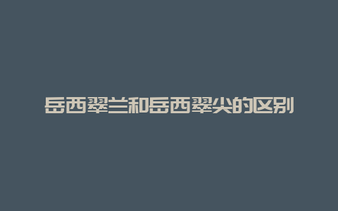 岳西翠兰和岳西翠尖的区别_http://www.chayejidi.com_绿茶知识_第1张