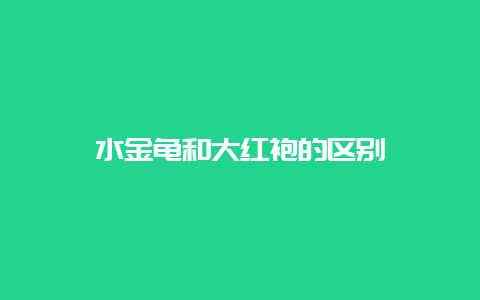 水金龟和大红袍的区别_http://www.chayejidi.com_乌龙茶知识_第1张