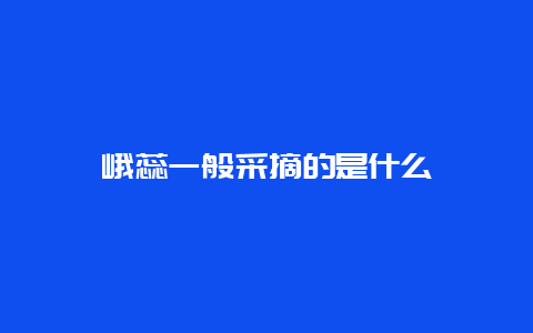 峨蕊一般采摘的是什么_http://www.chayejidi.com_绿茶知识_第1张