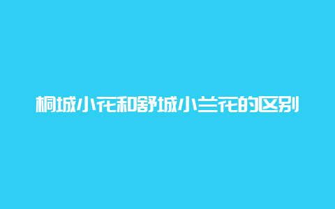 桐城小花和舒城小兰花的区别_http://www.chayejidi.com_绿茶知识_第1张