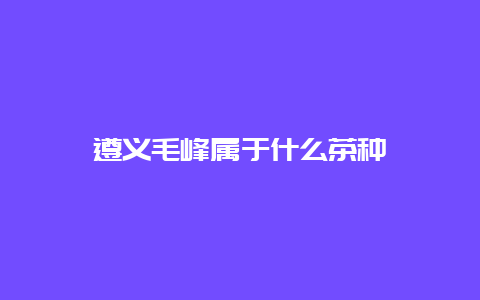 遵义毛峰属于什么茶种_http://www.chayejidi.com_绿茶知识_第1张