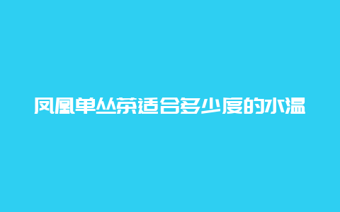 凤凰单丛茶适合多少度的水温泡_http://www.chayejidi.com_乌龙茶知识_第1张