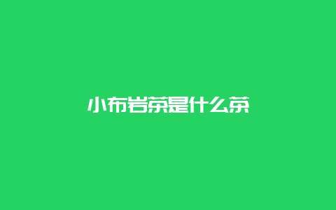 小布岩茶是什么茶_http://www.chayejidi.com_绿茶知识_第1张