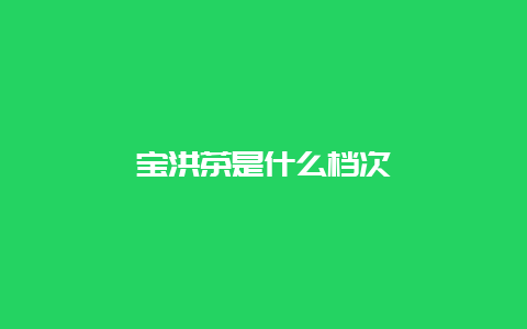 宝洪茶是什么档次_http://www.chayejidi.com_绿茶知识_第1张