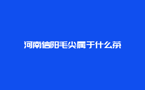 河南信阳毛尖属于什么茶_http://www.chayejidi.com_绿茶知识_第1张