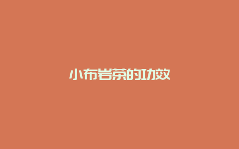 小布岩茶的功效_http://www.chayejidi.com_绿茶知识_第1张