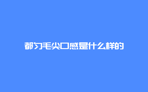 都匀毛尖口感是什么样的_http://www.chayejidi.com_绿茶知识_第1张