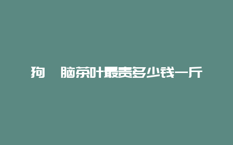 狗牯脑茶叶最贵多少钱一斤_http://www.chayejidi.com_绿茶知识_第1张