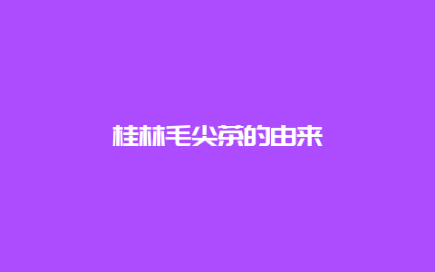 桂林毛尖茶的由来_http://www.chayejidi.com_绿茶知识_第1张