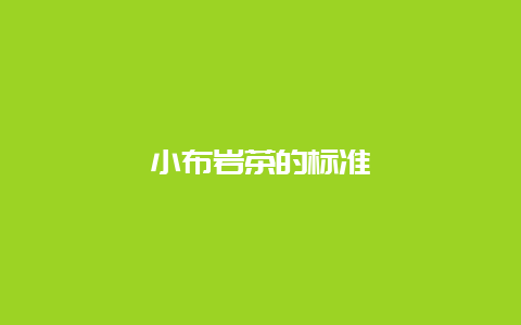 小布岩茶的标准_http://www.chayejidi.com_绿茶知识_第1张