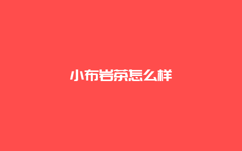 小布岩茶怎么样_http://www.chayejidi.com_绿茶知识_第1张