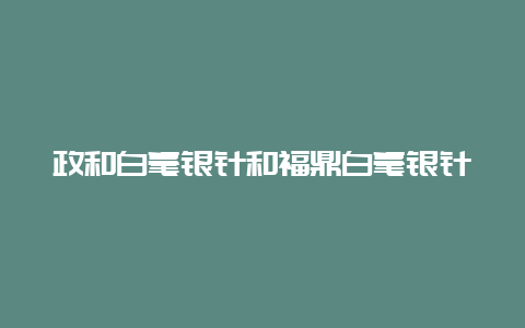 政和白毫银针和福鼎白毫银针的区别有哪些_http://www.chayejidi.com_白茶知识_第1张