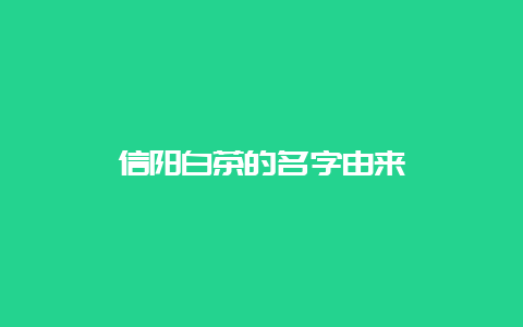 信阳白茶的名字由来_http://www.chayejidi.com_白茶知识_第1张