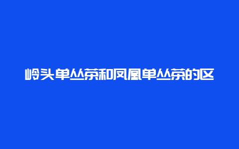 岭头单丛茶和凤凰单丛茶的区别_http://www.chayejidi.com_乌龙茶知识_第1张