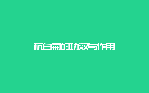 杭白菊的功效与作用_http://www.chayejidi.com_花茶知识_第1张