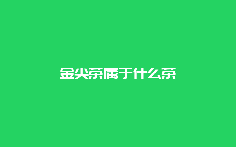 金尖茶属于什么茶_http://www.chayejidi.com_黑茶知识_第1张