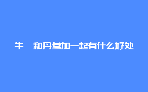 牛蒡和丹参加一起有什么好处茶功效_http://www.chayejidi.com_茶叶知识_第1张