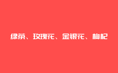 绿茶、玫瑰花、金银花、枸杞子、杏仁、菊花茶能混着喝吗？_http://www.chayejidi.com_茶叶知识_第1张