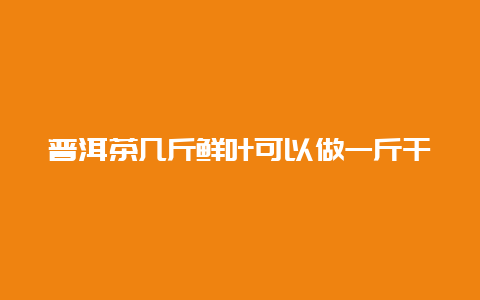 普洱茶几斤鲜叶可以做一斤干茶？_http://www.chayejidi.com_茶叶知识_第1张