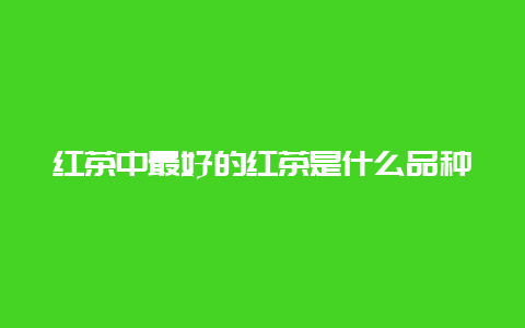 红茶中最好的红茶是什么品种？_http://www.chayejidi.com_茶叶知识_第1张