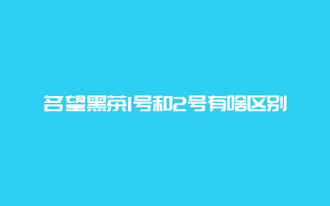 名望黑茶1号和2号有啥区别？_http://www.chayejidi.com_茶叶知识_第1张